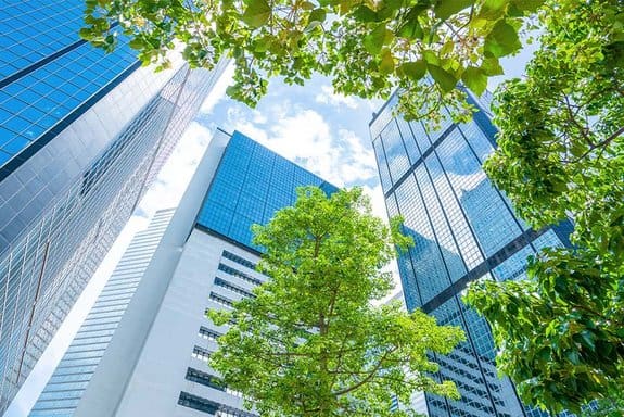 ESG Risk Management: Trend or Necessity?