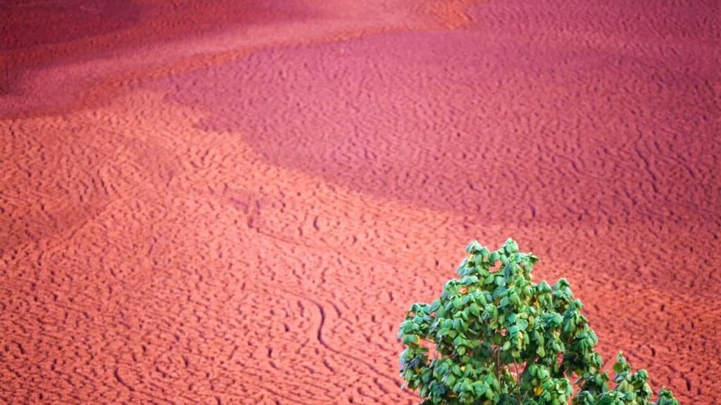 Enterprise Risk Management: Climate change still not a priority
